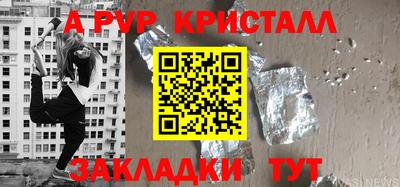 2c-b Кингисепп