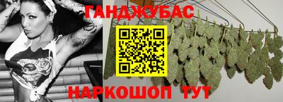 2c-b Кингисепп