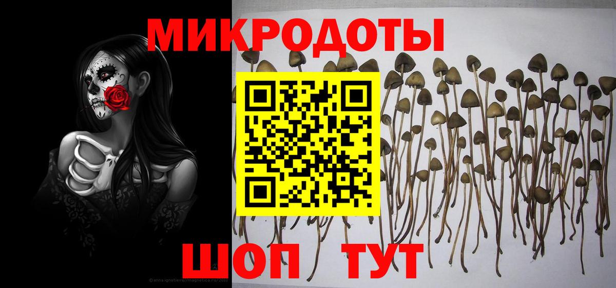 Клин  Галлюциногенные грибы Psilocybine cubensis  Псилоцибиновые грибы мухоморы  Вход с VPN 